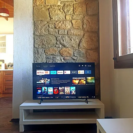 Dual Apartment